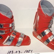 Cover image of Ski Boots
